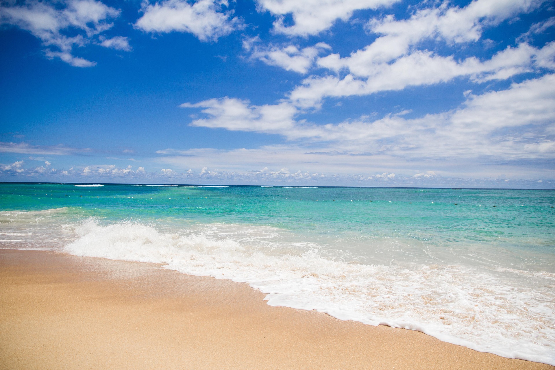 Ocean